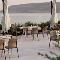 Briza PP Kollu Kafe Sandalyesi