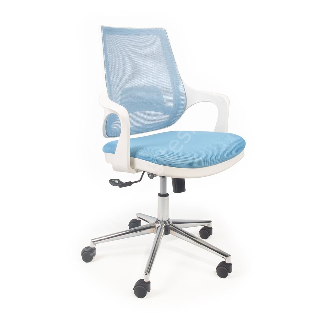 Regal Çalışma Koltuğu